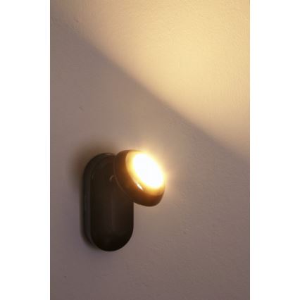 Philips 57170/44/16 - LED spotlamper MYLIVING SEPIA 1xLED/3W/230V