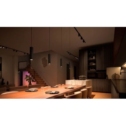 Philips - LED RGB dæmpbar pendel med wireophæng til Hue skinnesystem PERIFO LED RGB/5,2W/24V 2000-6500K