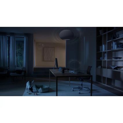 Philips - Hue Bridge Pro, sort