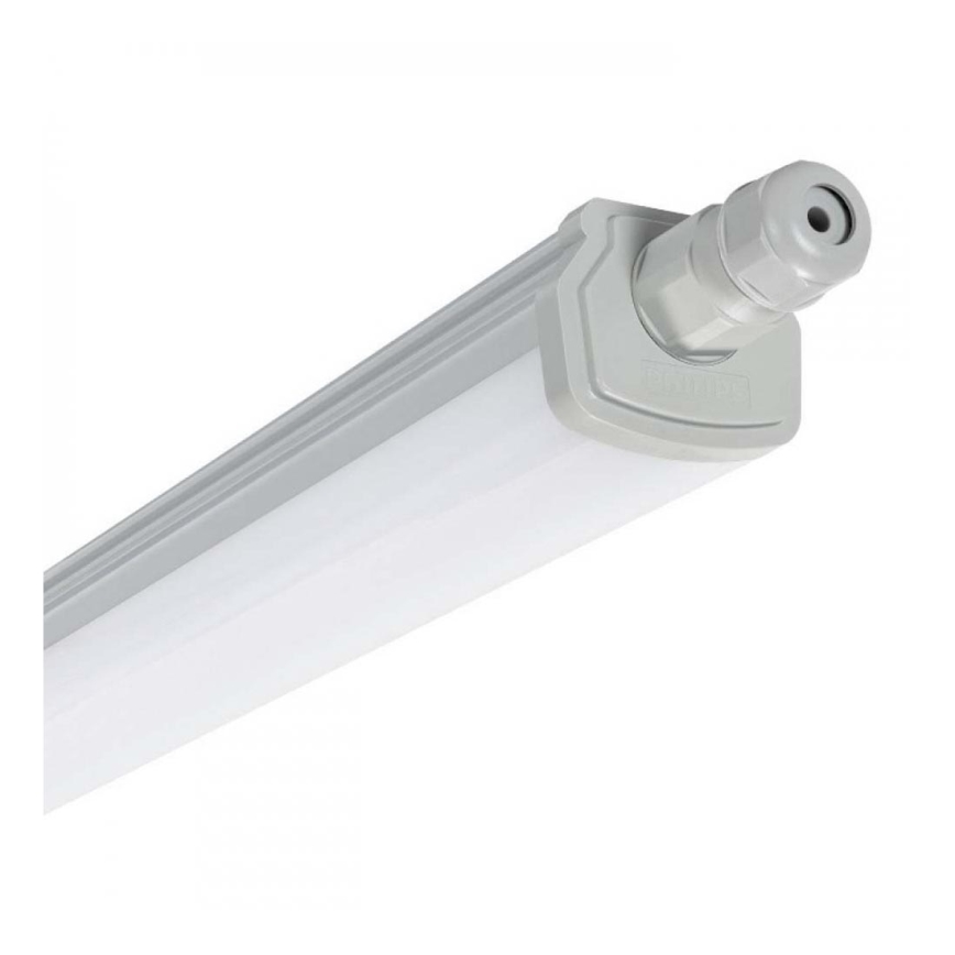 Philips - LED arbejdslampe LED/30W/230V IP66