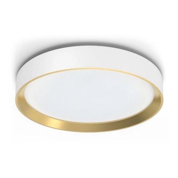 Philips - LED loftlampe dæmpbar HANNO LED/24W/230V 2700K hvid
