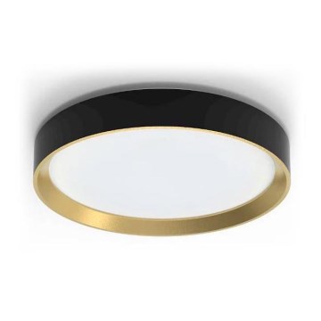 Philips - LED loftlampe dæmpbar HANNO LED/24W/230V 2700K sort