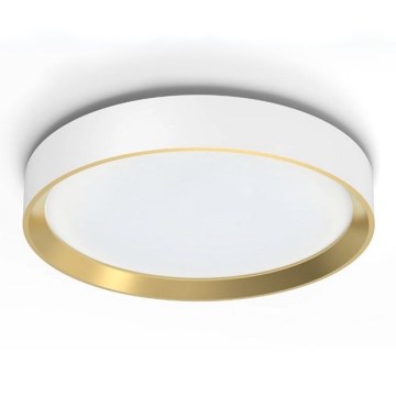 Philips - LED loftlampe dæmpbar HANNO SCENE SWITCH LED/24W/230V 4000K hvid