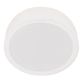 Philips - LED loftlampe MESON LED/24W/230V 3000K