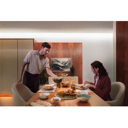 Philips - LED RGBW dæmpbar lysstrimmel Hue FLUX 3+2m LED/48,5W/230V 2200-6500K