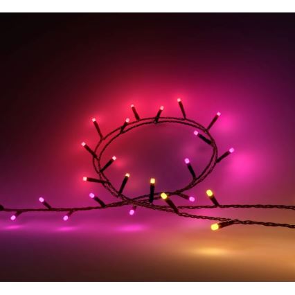 Philips - LED RGBW Dæmpbar udendørs lyskæde HUE WHITE AND COLOR AMBIANCE 500xLED 44,4 m 2000-6500K IP54