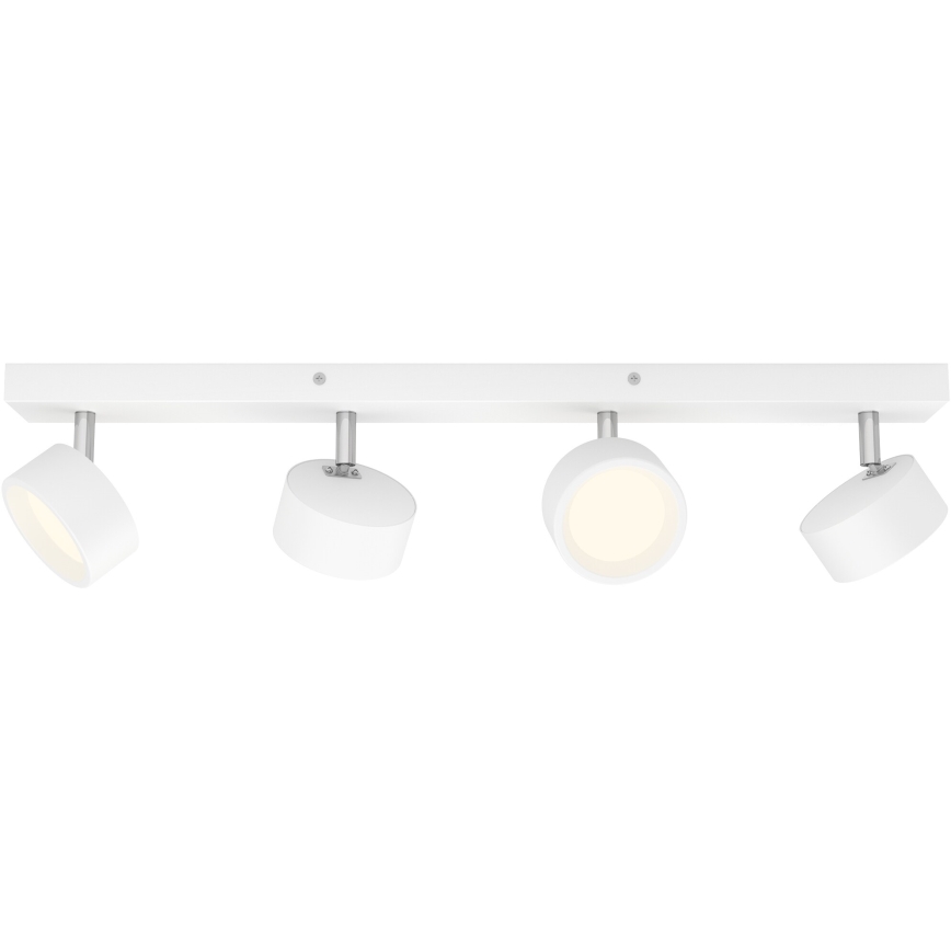 Philips - LED spotlampe 4xLED/5,5W/230V hvid