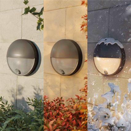 Philips - LED udendørs væglampe med sensor CAPRICORN LED/4,3W/230V IP44