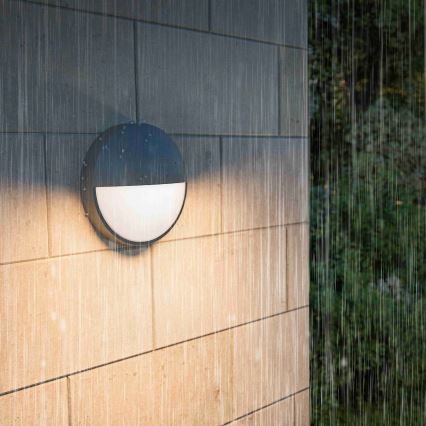 Philips - LED udendørs væglampe CAPRICORN LED/4,3W/230V IP44