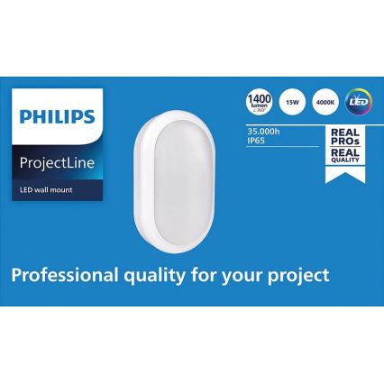 Philips - LED væglampe PROJECTLINE LED/15W/230V IP65