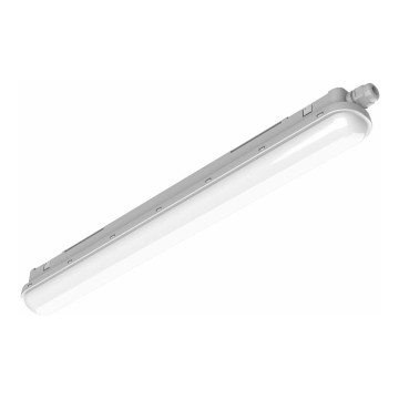 Philips Pila - LED teknisk lysrørarmatur LED/40W/230V 120 cm IP65