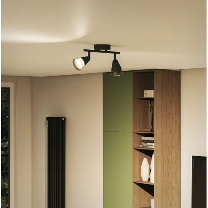 Philips - Spotlampe CLEFT 2xGU10/5W/230V