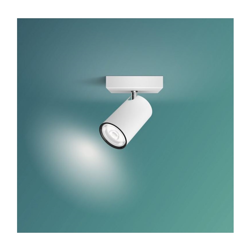 Philips - Spotlampe KOSIPO 1xGU10/5,5W/230V hvid