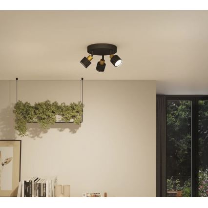 Philips - Spotlampe NIALL 3xGU10/5W/230V sort/messing