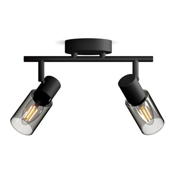 Philips - Spotlampe PALMS 2xE14/25W/230V