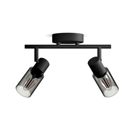 Philips - Spotlampe PALMS 2xE14/25W/230V