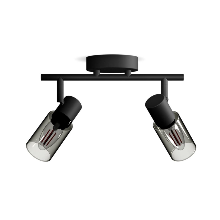 Philips - Spotlampe PALMS 2xE14/25W/230V