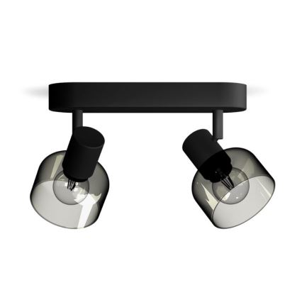 Philips - Spotlampe SLEET 2xE14/25W/230V