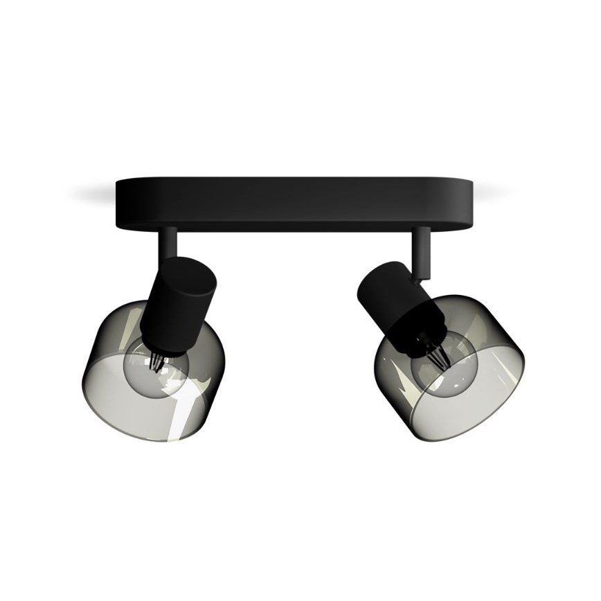 Philips - Spotlampe SLEET 2xE14/25W/230V