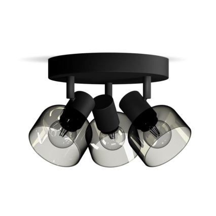 Philips - Spotlampe SLEET 3xE14/25W/230V