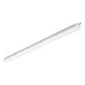 Philips - Teknisk LED-armatur CORELINE LED/37,5W/230V 150 cm IP66