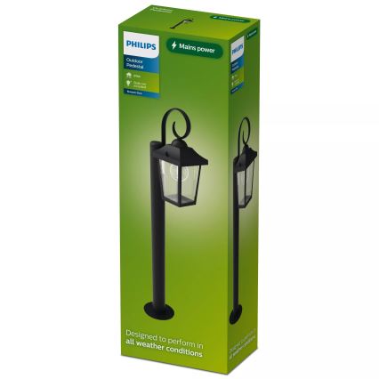 Philips - Udendørs lampe BUZZARD 1xE27/25W/230V IP44