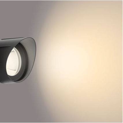Philips - Udendørs LED spotlampe LED/24W/230V 2700K IP44