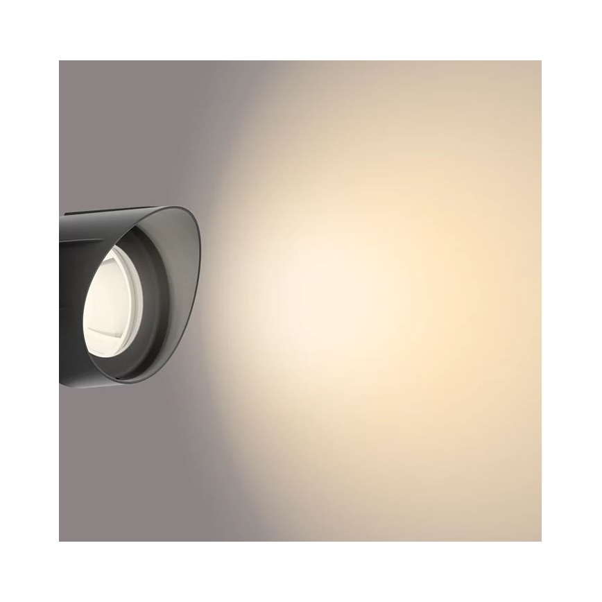 Philips - Udendørs LED spotlampe LED/24W/230V 2700K IP44
