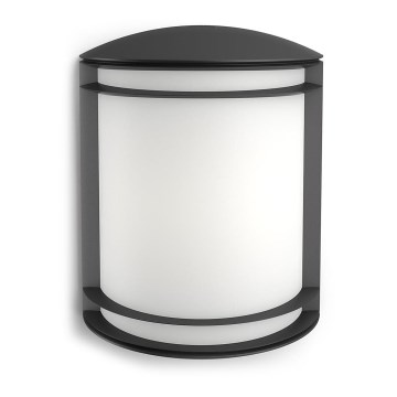 Philips - Udendørs væglampe LED/6W/230V IP44