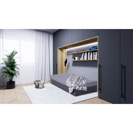 Polstret dagseng med opbevaringsplads JACOB XL, maks. belastning 130 kg, 90x200 cm, grå