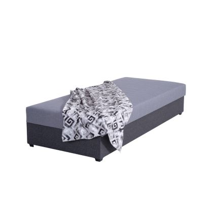 Polstret daybed med opbevaringsplads JACOB XL 90x200 cm grå