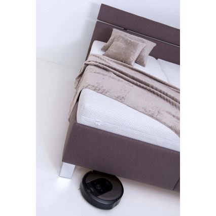 Polstret opbevaringsseng uden madras ALIS 180x200 cm brun