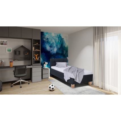 Polstret seng med opbevaringsplads uden madras MARIA ONE 90x200 cm antracit