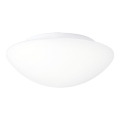 Prezent 1500 - Loftlampe ASPEN 1xE27/60W/230V IP44