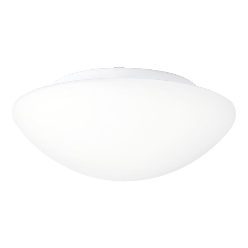 Prezent 1500 - Loftlampe ASPEN 1xE27/60W/230V IP44