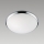 Prezent 1518 - Reservedele glas til loftslampe LUNA E27