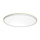 Prezent 27304 - LED loftlampe til badeværelse CORDIA LED/12W/230V 3000/6000K IP54 hvid