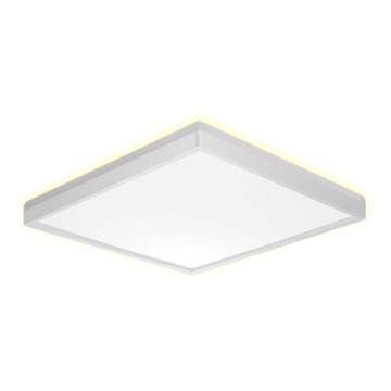Prezent 27309 - LED loftlampe til badeværelse CORDIA SQ LED/24W/230V 3000/6000K IP54 hvid