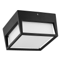 Prezent 31311 - Udendørs LED loftlampe GEST LED/9W/230V IP44 sort