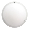 Prezent 423 - Reservedele glas til loftslampe NEPTUN E27