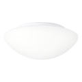 Prezent 45138 - LED loftlampe til badeværelse ASPEN LED/12W/230V IP44