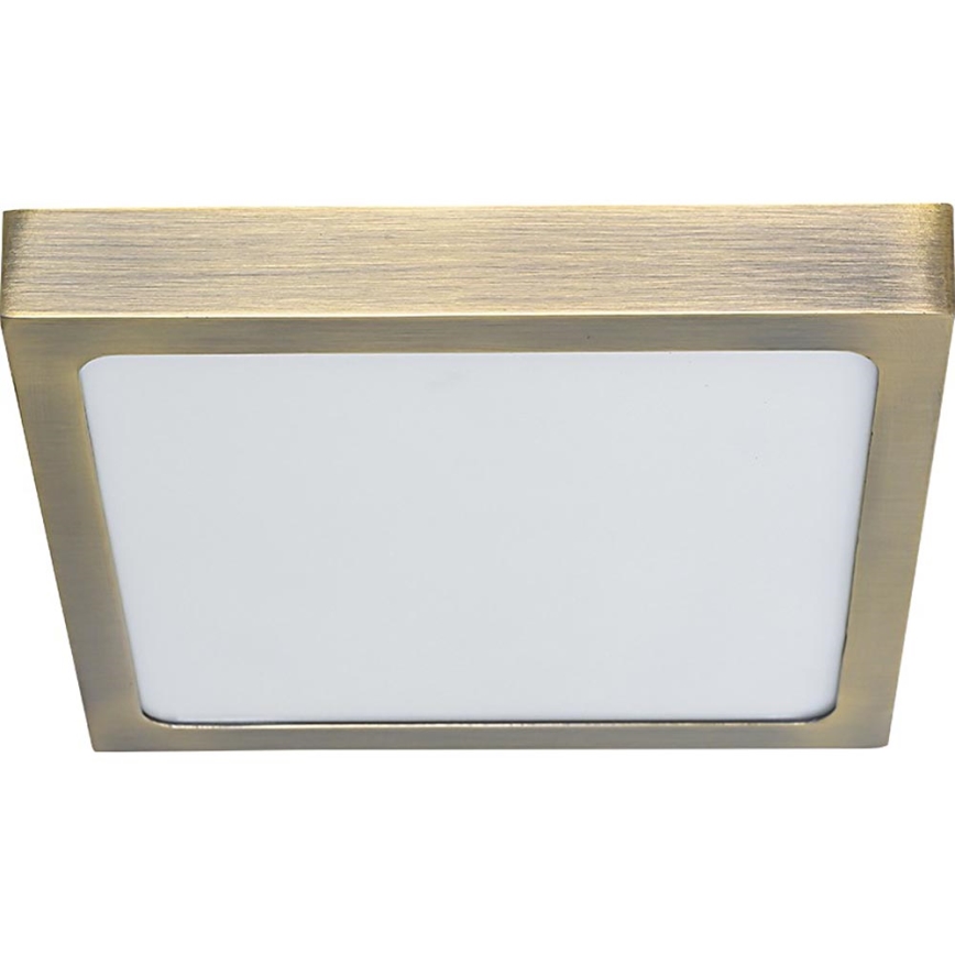 Prezent 49064 - LED loftlampe LENYS LED/22W/230V 4000K 22,5x22,5 cm messing