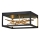 Quintiesse - STYX LED-loftlampe 8W/230V sort/guld