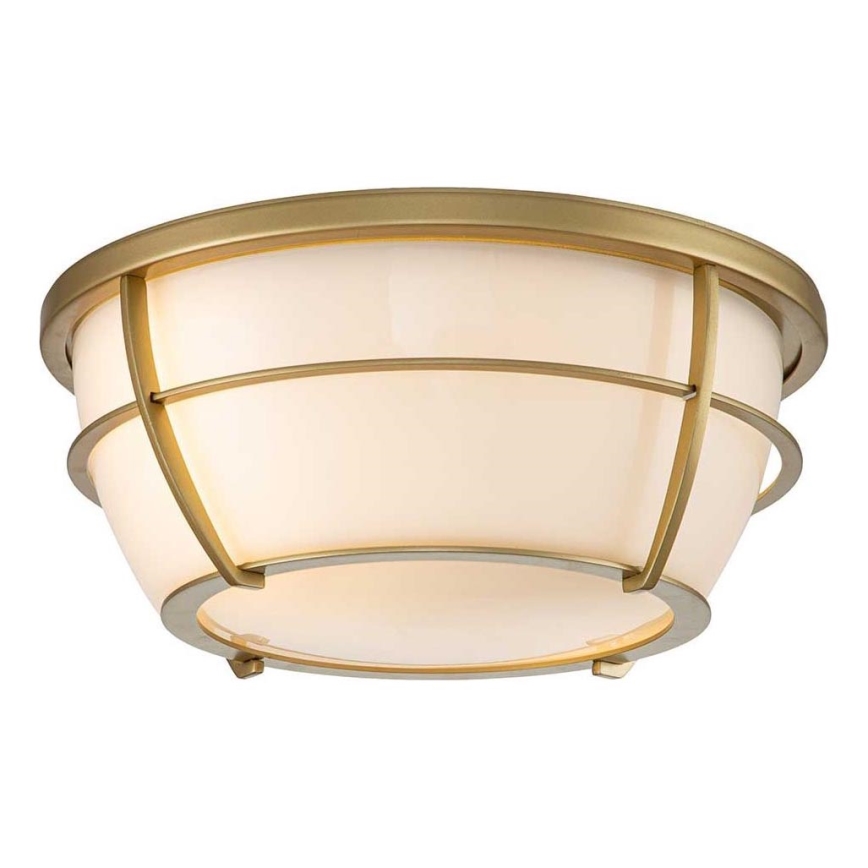 Quoizel - Loftlampe til badeværelse CHANCE 2xE27/60W/230V IP44
