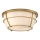 Quoizel - Loftlampe til badeværelse CHANCE 2xE27/60W/230V IP44