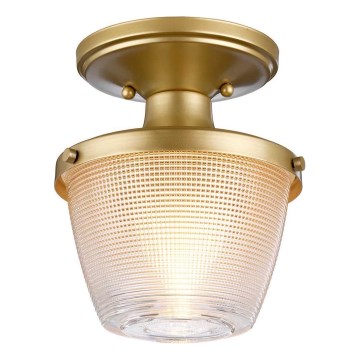 Quoizel - Loftlampe til badeværelse DUBLIN 1xE27/40W/230V IP44 guldfarvet