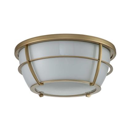 Quoizel - Loftlampe til badeværelse CHANCE 2xE27/60W/230V IP44