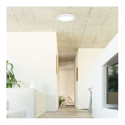 Rabalux - LED loftlampe med sensor LED/18W/230V 4000K 22,5 cm