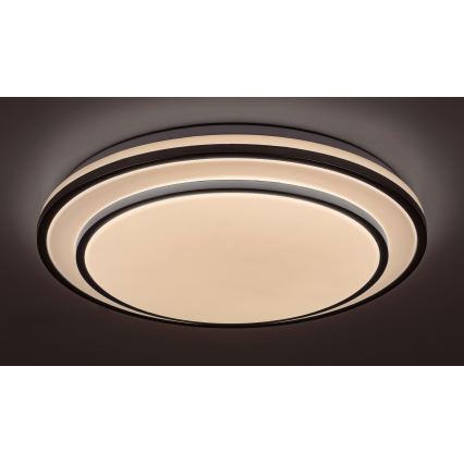 Rabalux - LED loftlampe dæmpbar LED/40W/230V 3000-6500K sølvfarvet + fjernbetjening