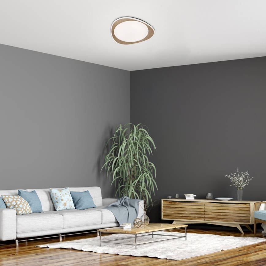 Rabalux - LED loftlampe LED/24W/230V